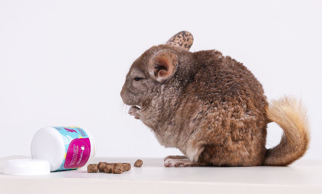 produtos tudodvet 11