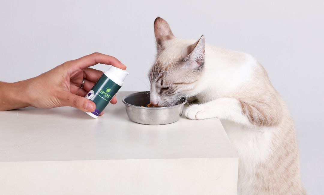 produtos tudodvet 12